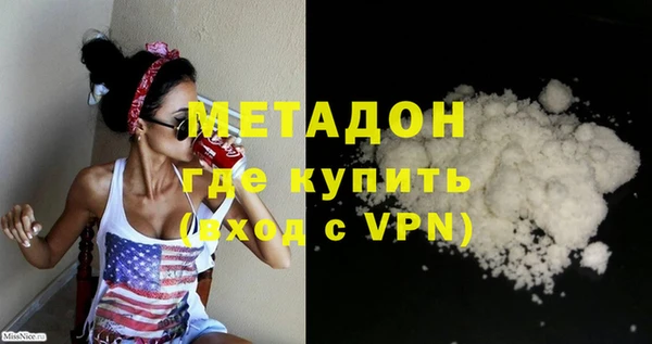 индика Алексин