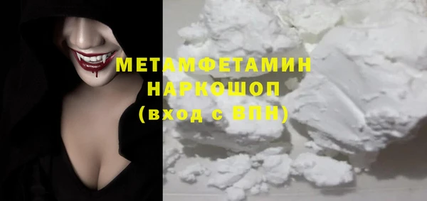 индика Алексин
