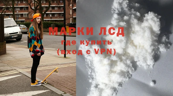 индика Алексин