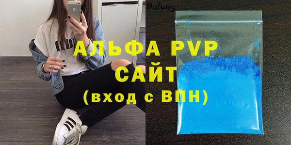 индика Алексин