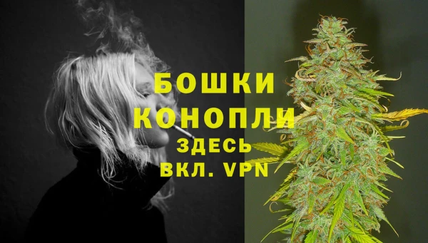 ешки Мегион