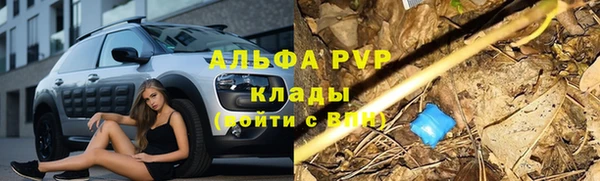 дмт Алексеевка