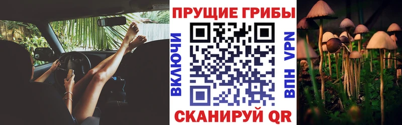 Псилоцибиновые грибы мухоморы  даркнет сайт  shop телеграм  Сельцо 