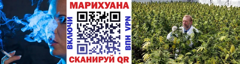 цены Сельцо MEGA онион Конопля AK-47